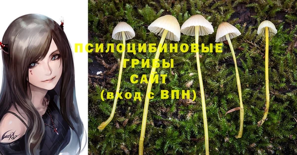 меф Алексеевка