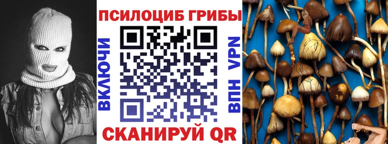 OMG ссылка  Скопин  Псилоцибиновые грибы мицелий 